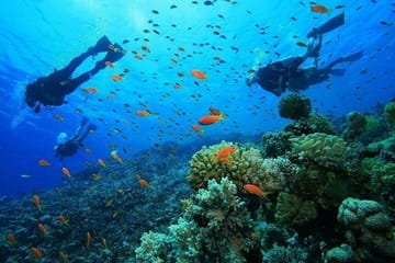 Kemer Scuba Diving and Snorkeling Trip