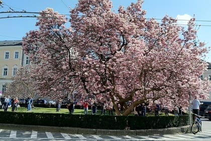 From Munich Day trip to Salzburg by train