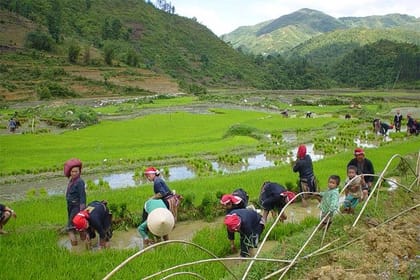 Sapa Hard Trekking villages 2D/1N: Homestay, Meals, English speaking guide