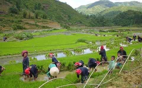 Two-Day Hard Trekking Tour in Sapa with Homestay