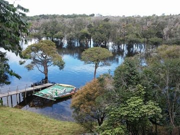 4-Day Jungle Adventure Tour at Amazon Lodge in Manaus