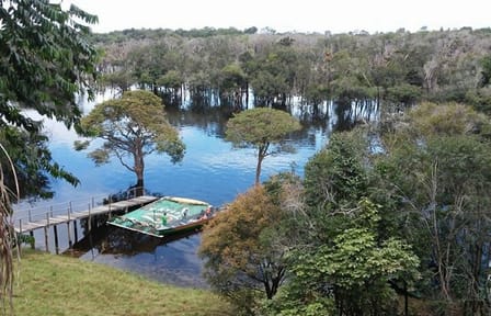 4-Days Unique Experience at Amazon Lodge, immersion on a Jungle Adventure