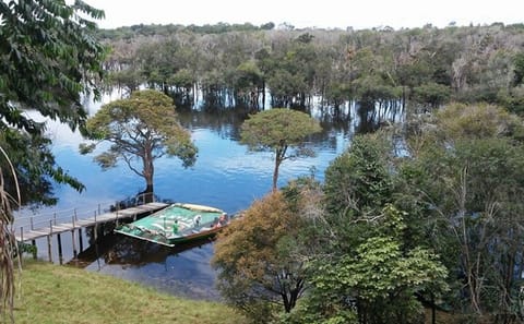 4-Day Jungle Adventure Tour at Amazon Lodge in Manaus