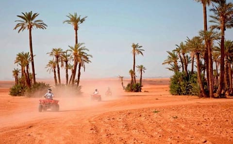 Quad Biking Adventure in Marrakesh, Morocco
