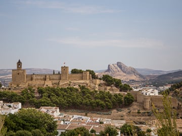 From Malaga: Antequera Heritage and Oil Mill land