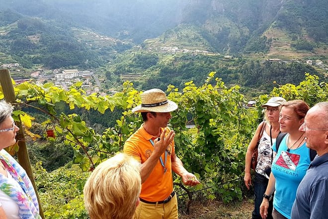 Madeira Wine Tastings , Vineyards and Skywalk, Full day tour in 4x4 Open Roof  7