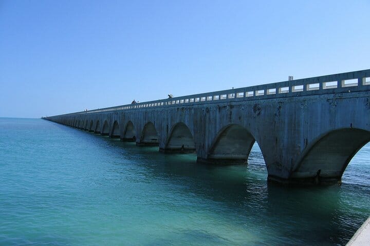 Key West Dolphin Watching and Snorkeling with Beer and Wine from Miami 8