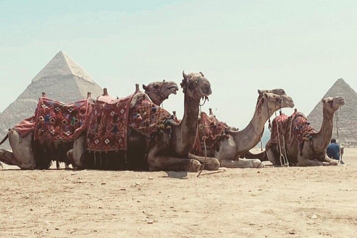 Full Day Private Giza Pyramids City Tour and Dinner Nile Cruise