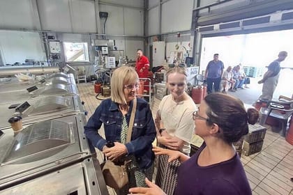 Kefalonia Food & Wine Tour: Local Honey, Olive Oil & Winery Visit