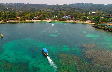 Glass Bottom Boat Tour and Wildlife Experience in Coxen Hole