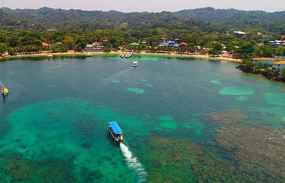 Glass Bottom Boat, Sloth – Monkey Park & West Bay Beach