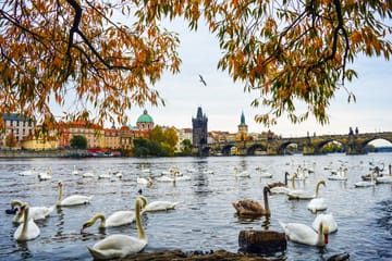 Private Van Tour of Prague, Vienna, and Budapest - 9 Days