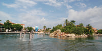 Dreams Puerto Aventuras: Dolphin Royal Swim  1