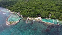 Dolphin Encounter in Dolphin Cove Ocho Rios  4