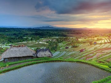 Jatiluwih Unesco rice terrace