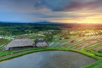 Explore Hidden Waterfall and UNESCO Rice Terraces in Bali