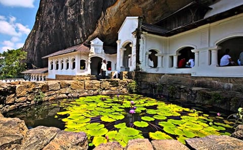 Dambulla and Sigiriya One Day Adventure Tour in Sri Lanka