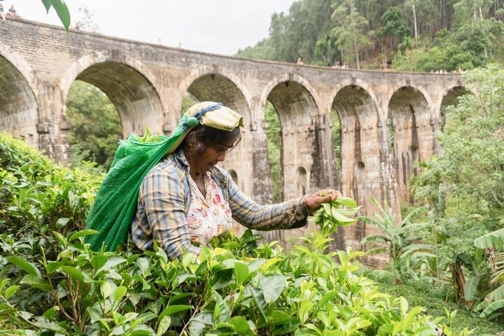 At Nine Arch Bridge