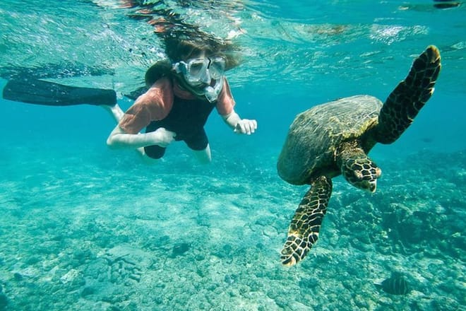 Amazing Snorkeling Experience in Cancun 6