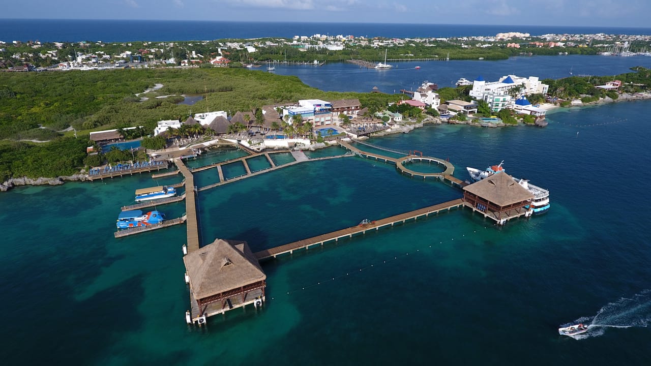 Isla Mujeres: Dolphin Royal Connection 2