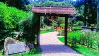 JAPANESE GARDEN