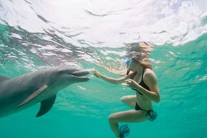 Dolphin House Cruise with water sports and Lunch in Hurghada