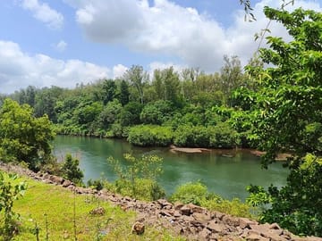 Wildlife and Beach Tour from Pune to Goa's Anjuna and Calangute