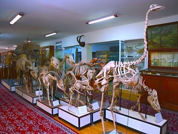 Megafun-baku-kids-tour-entertaintment-tour-baku-Azerbaijan-Zoo-Park-Baku-Azerbaijan-tour-kid-children-tour-aquarium