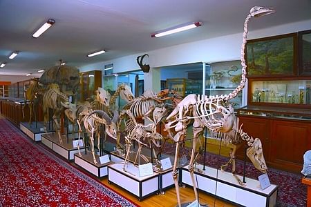 Full Day Private Kids Entertaintment Tour in Baku