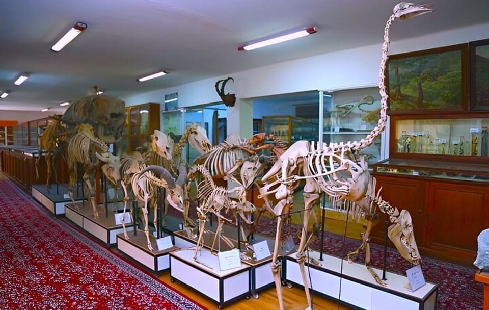 Private Kids Entertainment Day Tour in Baku