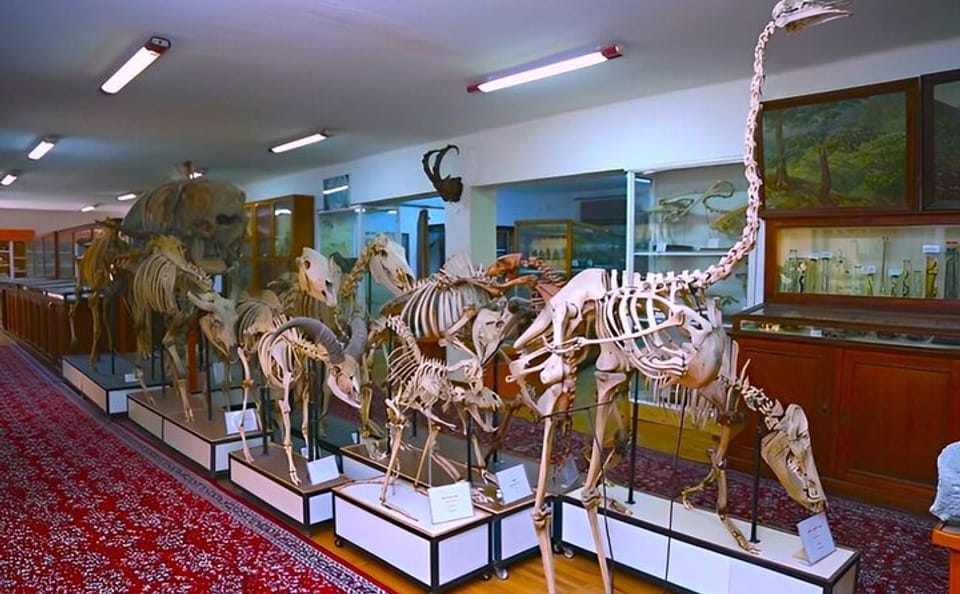 Family-Friendly ATV and Museum Tour in Baku