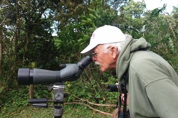 Guided Birdwatching Tour for Toucans in Puntarenas, Costa Rica