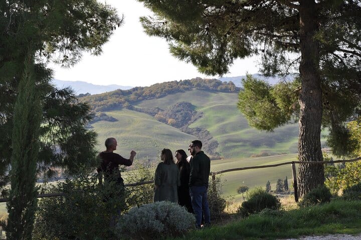 Exclusive Private Val d'Orcia Experience from Florence - A cinematic universe 2
