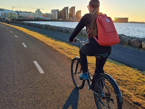 Reykjavik City Bike Rental , photo 3