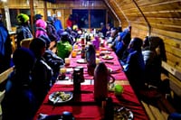 1-Day Mount Kilimanjaro Experience: Marangu Gate to Mandara Hut Day Hike 10