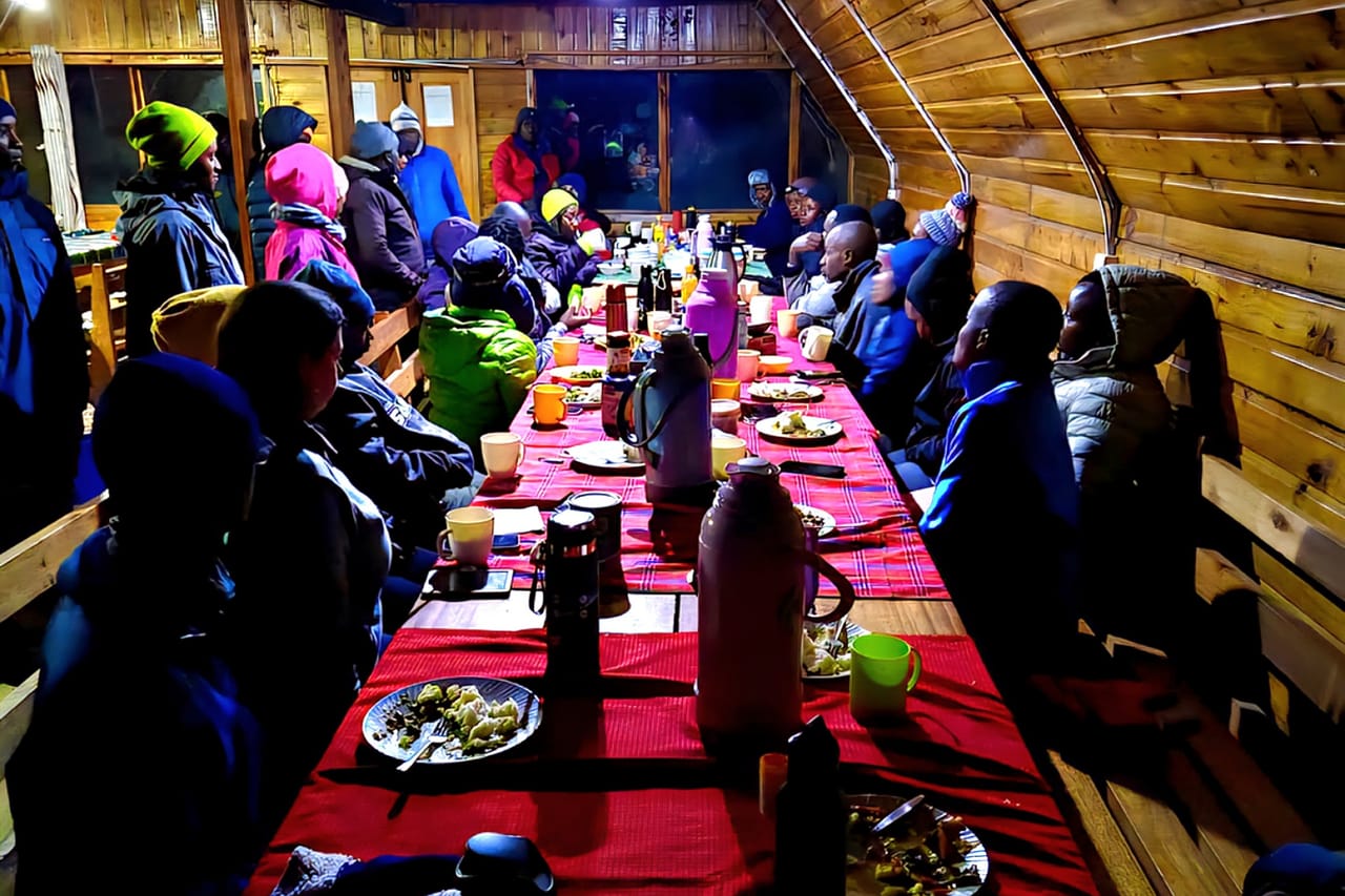 1-Day Mount Kilimanjaro Experience: Marangu Gate to Mandara Hut Day Hike 10