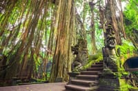 Ubud Tirta Empul Blissful Cleansing 5