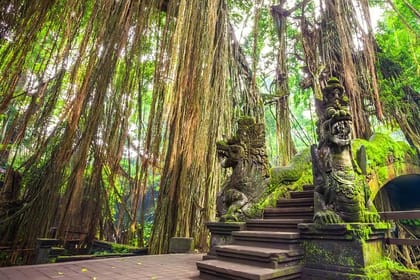 Ubud Tirta Empul Blissful Cleansing