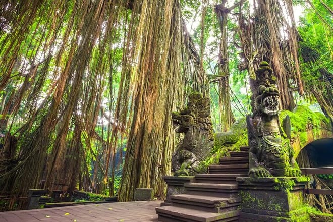 Ubud Tirta Empul Blissful Cleansing 5