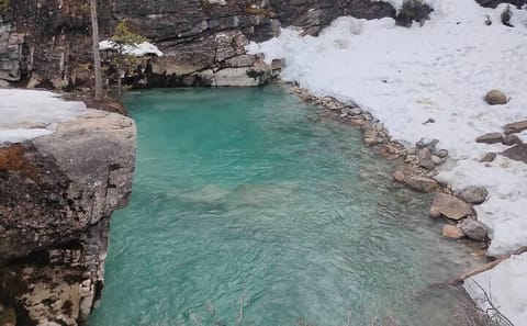 Icewalk at Lake Louise and Marble Canyon from Calgary
