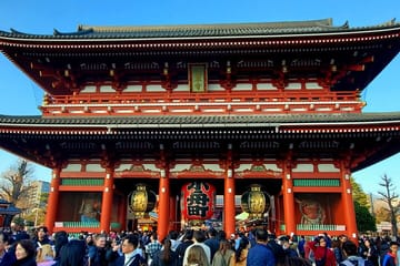 Full Day Tokyo Customizable Private Tour With English Driver