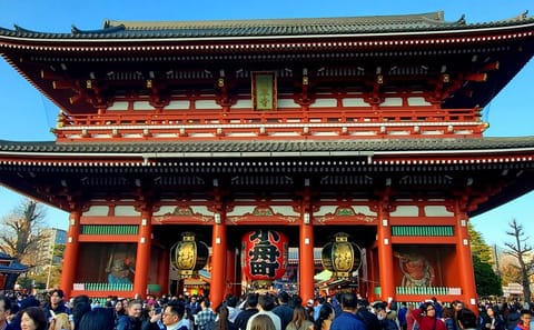 Full Day Tokyo Customizable Private Tour With English Driver