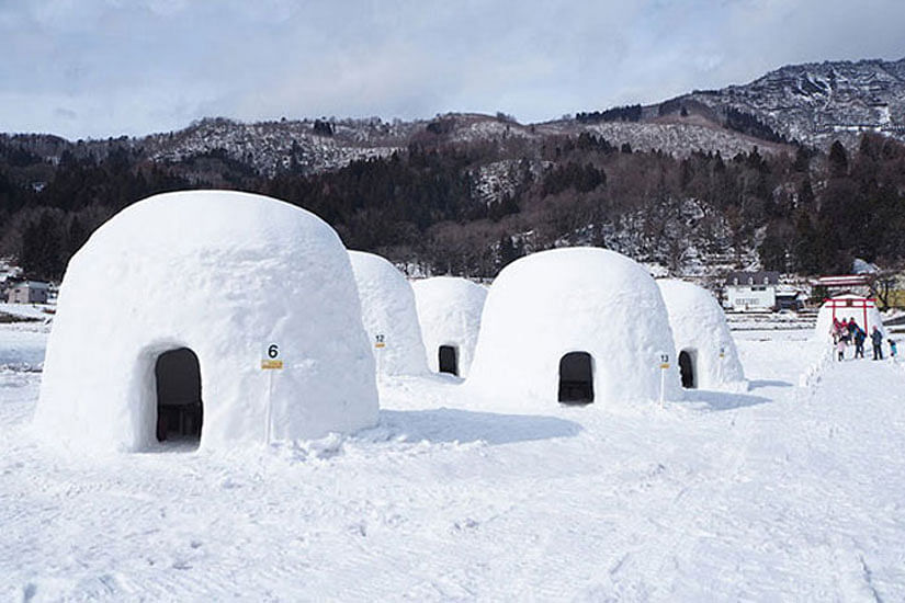 Nagano Region’s Special winter experience!