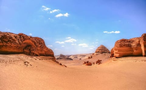 Cultural and Adventure Tour of Cairo, Alexandria, and Fayoum