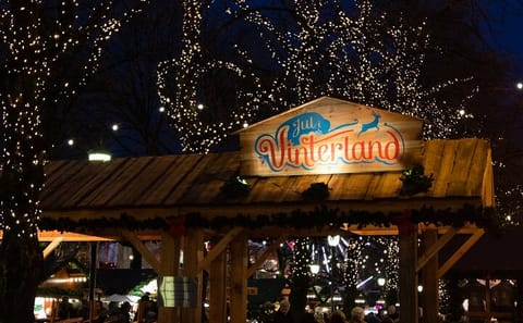 Oslo Christmas Walking Tour: Explore Winter Wonders in 3 Hours