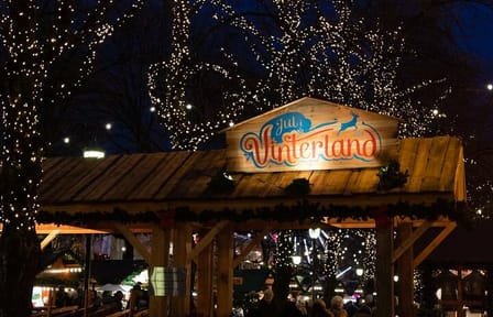 Oslo Christmas Walking Tour: Explore Winter Wonders in 3 Hours