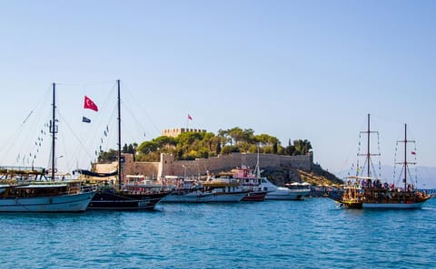 Kuşadası City Walking Tour with Turkish Carpet Experience