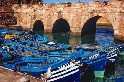 From Marrakesh: Essaouira Full-Day Trip