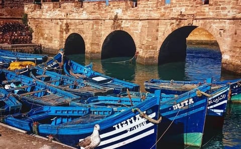 Full-Day Cultural Tour of Essaouira from Marrakesh