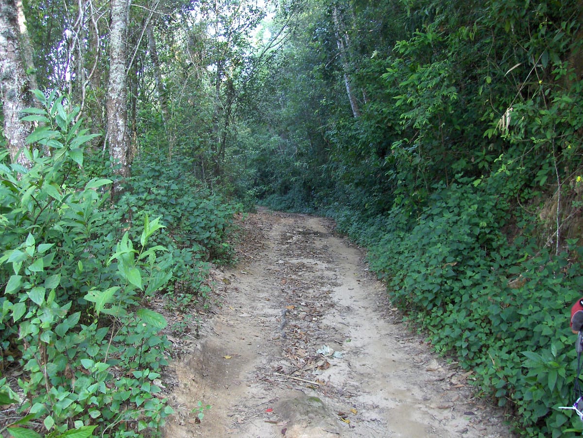 Chiang mai Suthep National Park Leisure Hiking & Mountain Biking